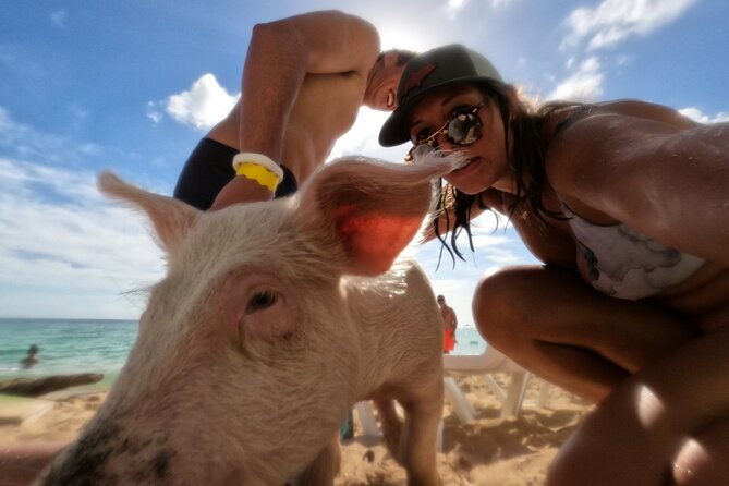 Ultimate SeaXscape Pigs/Turtles/Snorkel/Lunch/Drinks/PU/DO - From Nassau pickup to a lively boat ride