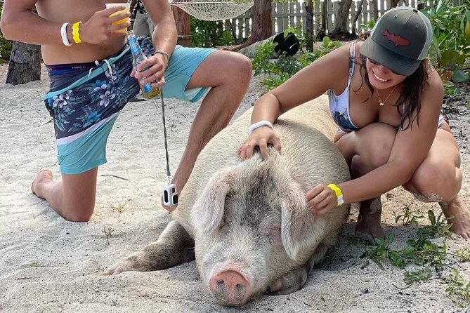 Ultimate SeaXscape Pigs/Turtles/Snorkel/Lunch/Drinks/PU/DO - Snorkeling over a shallow coral reef
