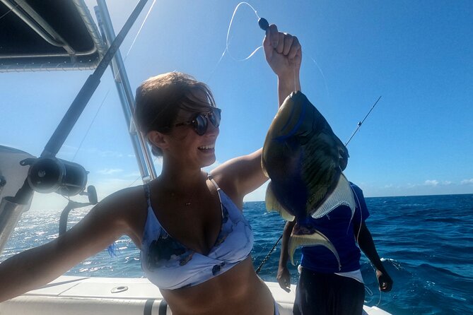 Ultimate SeaXscape Pigs/Turtles/Snorkel/Lunch/Drinks/PU/DO - Looking for sea turtles in the clear water