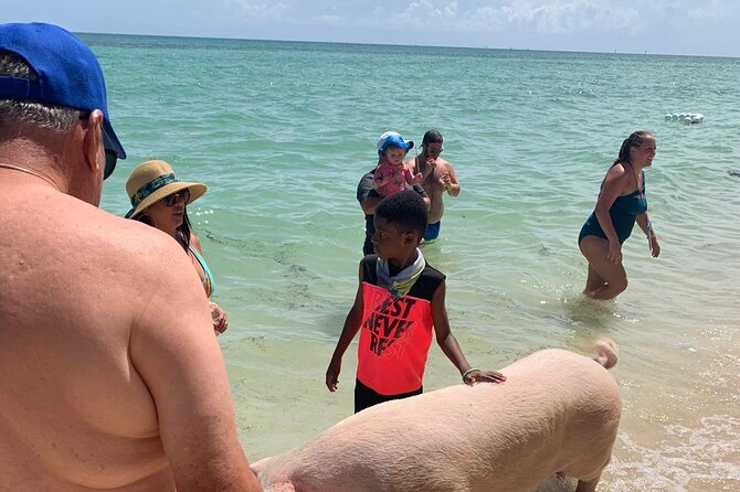 Ultimate SeaXscape Pigs/Turtles/Snorkel/Lunch/Drinks/PU/DO - What the $199 price really buys you