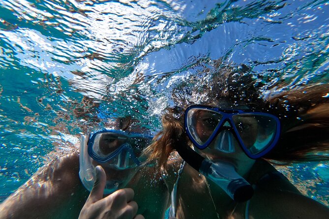 Ultimate SeaXscape Pigs/Turtles/Snorkel/Lunch/Drinks/PU/DO - Who will enjoy this Nassau excursion most
